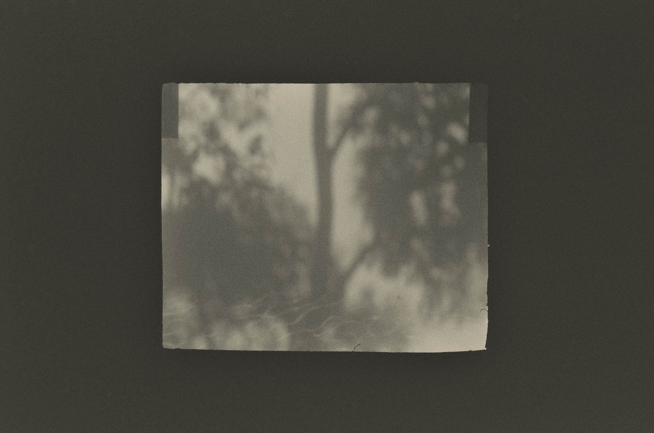 A small, grainy black-and-white print by Jing Huang showing the soft, blurred shadows of leaves and a tree trunk falling across a pale wall, framed by a wide dark border.