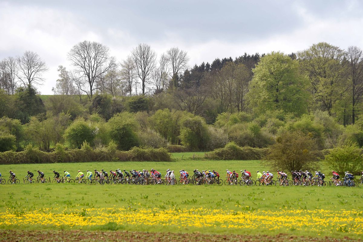 A nice colourful photograph of the race