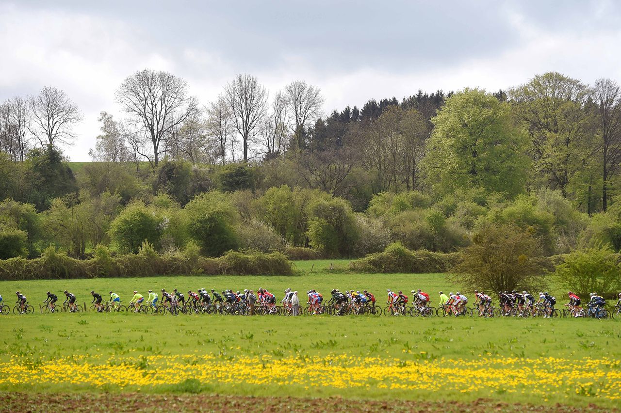 A nice colourful photograph of the race