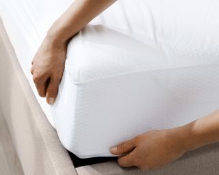 man putting on a mattress protector on a bed - tempur