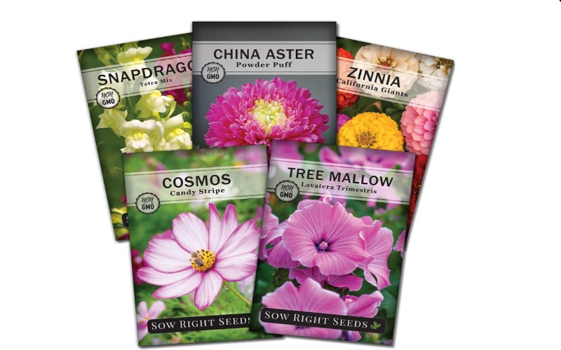 Best flower seed packets Real Homes