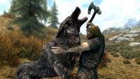 Skyrim man fighting a wolf