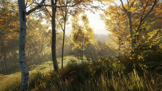 Relaxing PC games — a showcase screenshot of The Hunter's god-ray tech in a sun-dappled woodland.