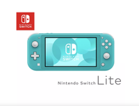 Nintendo  Switch Lite 