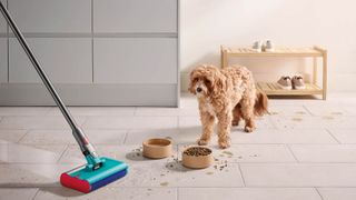 Dyson V15s Detect Submarine cleaning the floor around a dog