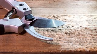 A close up of the cutting blade on a pair of pruning shears
