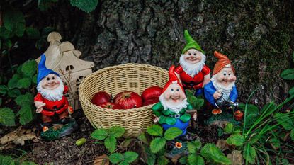 collection of garden gnomes underneath a tree