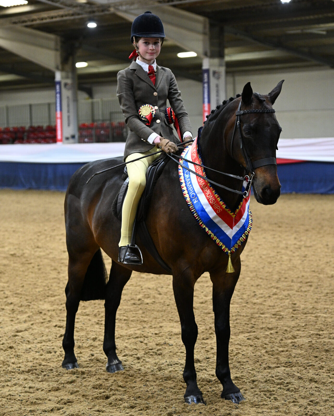 Alexandra Svensson and Wycroft Beethoven stand for a photo having taken the challenge show hunter pony championship