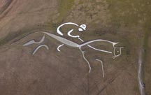 pr28494_[4]_WHITE_HORSE_05.jpg