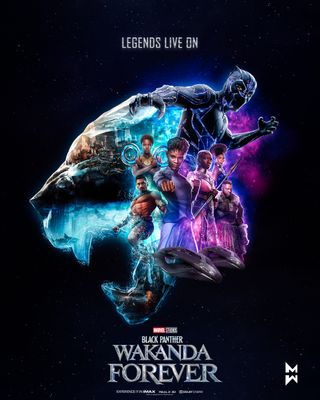 The Black Panther Poster