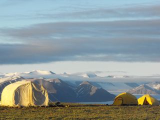 A fossil forest in the Canadian Arctic could live again as the planet warms.