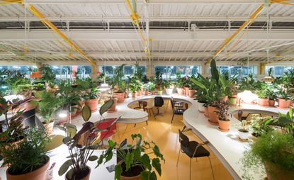 Potted plants with chairs