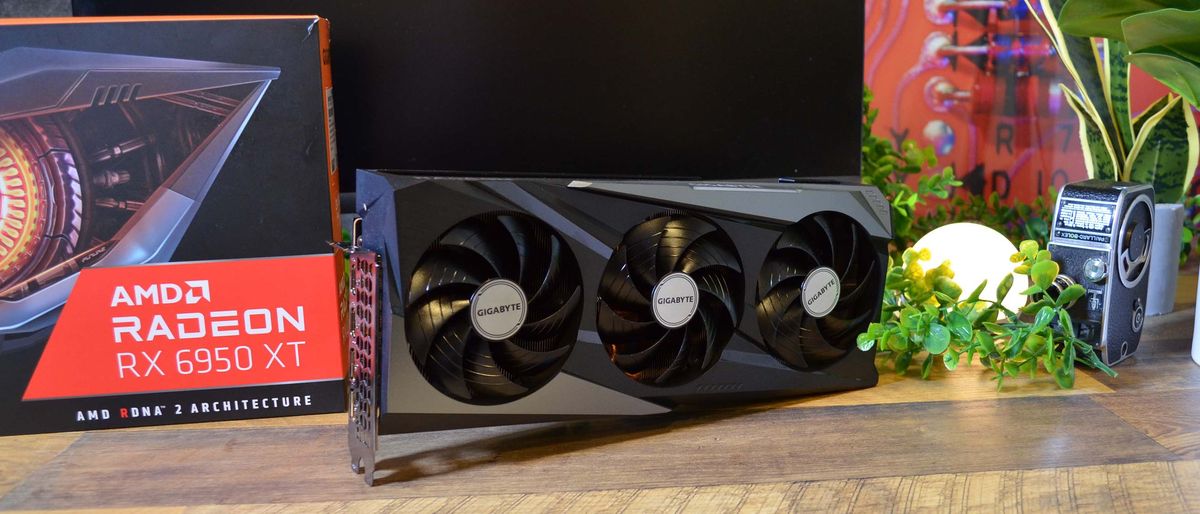 An AMD Radeon RX 6950 XT on a desk in front of a plant