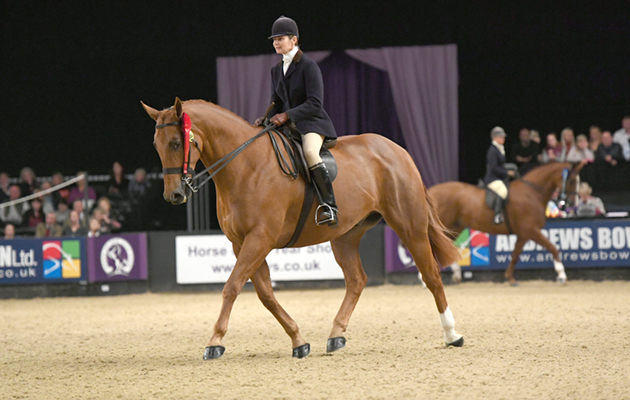 HOYS 05 10 2018