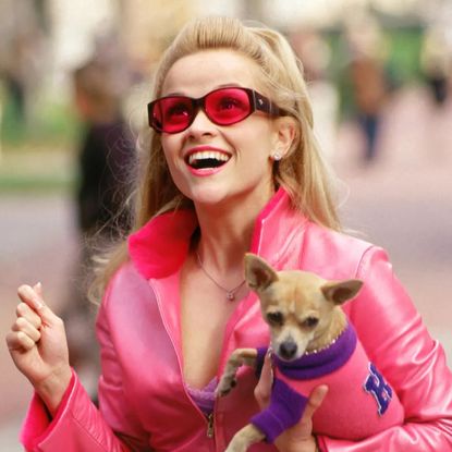 reese witherspoon and bruiser in legally blonde