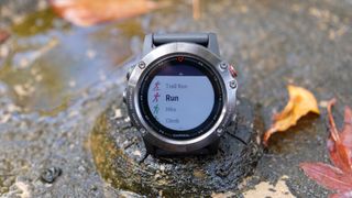 garmin fenix 5 plus versus apple watch 4