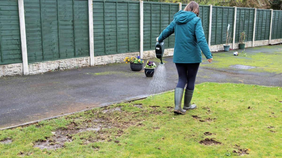 How to make your grass greener than ever — 9 lawn tips | Tom's Guide
