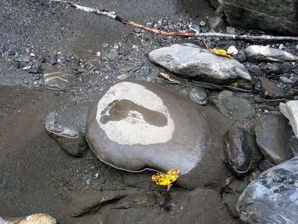 What is it they say, "Take nothing but photos. Leave nothing but footprints"?