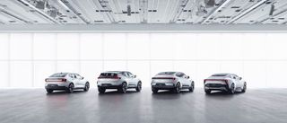 The Polestar Family, 2 to 5