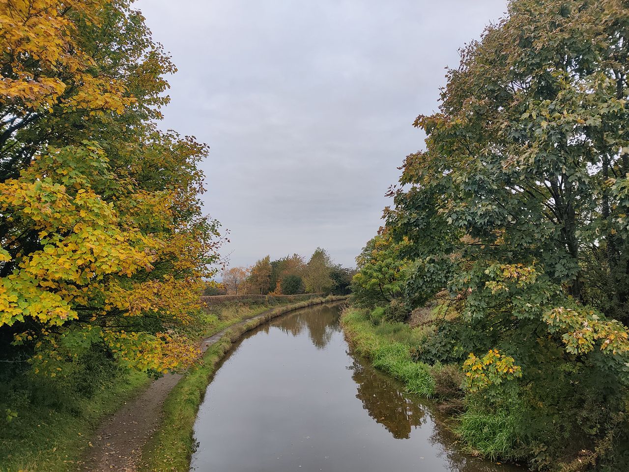 OnePlus 8T camera sample