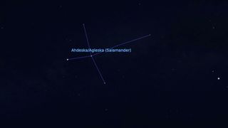 graphic illustration from Stellarium showing the salamander constellation in the night sky.