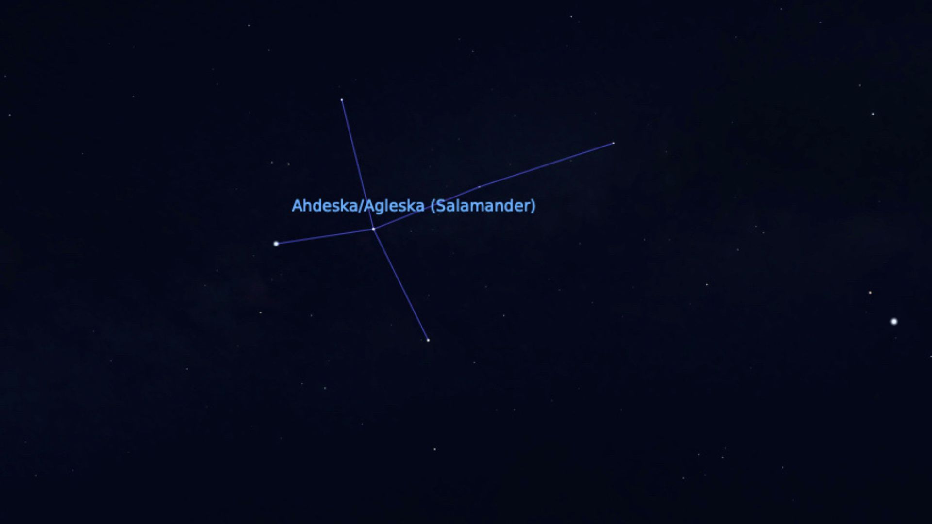 graphic illustration from Stellarium showing the salamander constellation in the night sky.