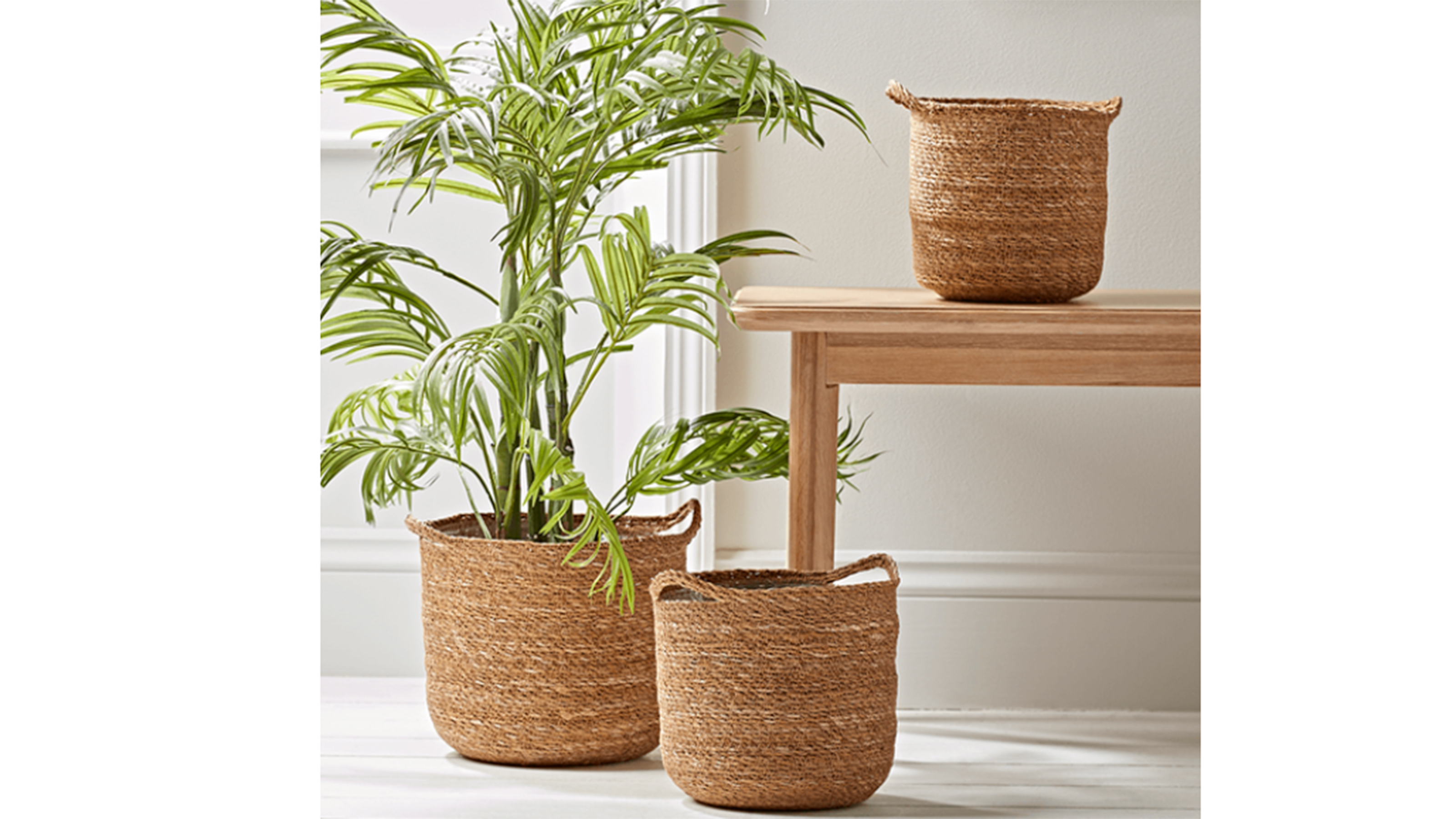 Cox & Cox Seagrass Baskets