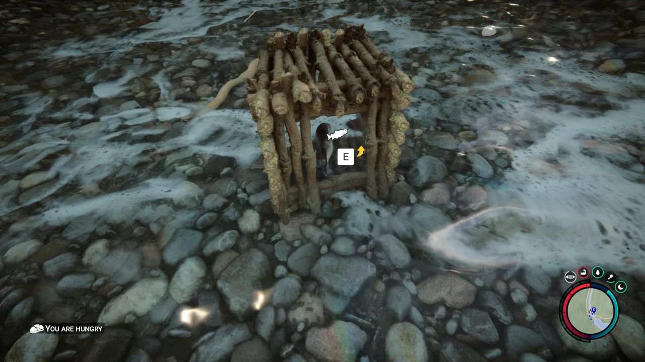 Sons of the Forest - a fish trap with a fish inside