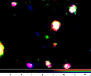 newfound object galaxy LAEJ095950.99+021219.1
