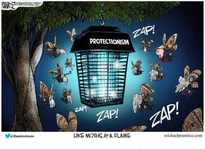 Political Cartoon U.S. Trump Democrats Republicans Moths To Protectionism