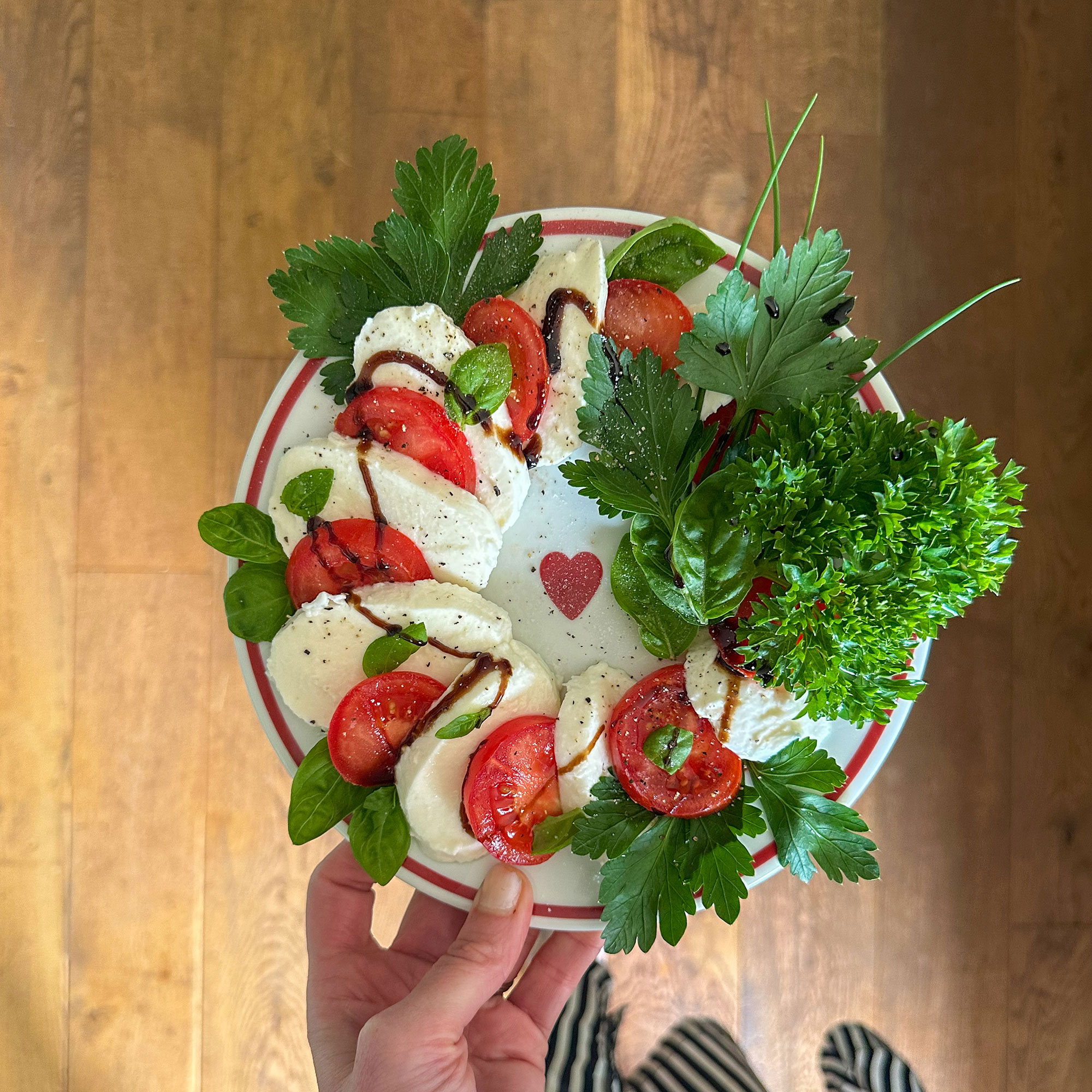 Person holding plate of Caprese salad