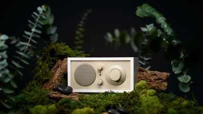 Tivoli Audio Model One BT in Eucalyptus
