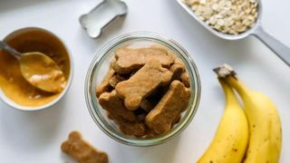 3-Ingredient Peanut Butter Banana DIY Vegan Dog Treats