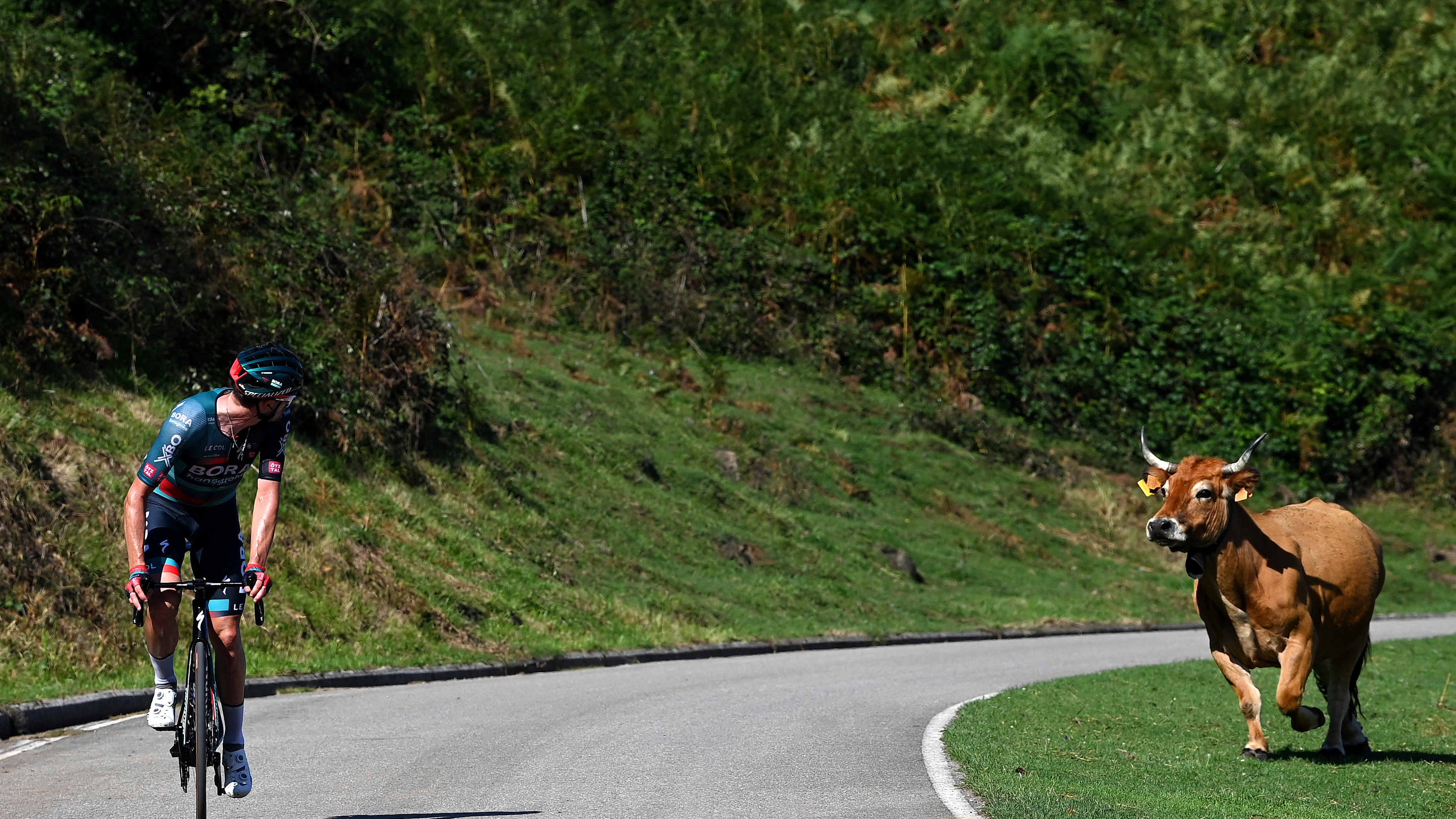 Nico Denz on the  Tour of Spain 2023