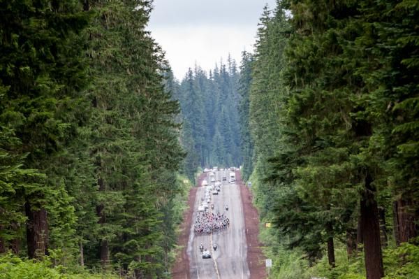 Rolling out amongst the huge Oregon forests.