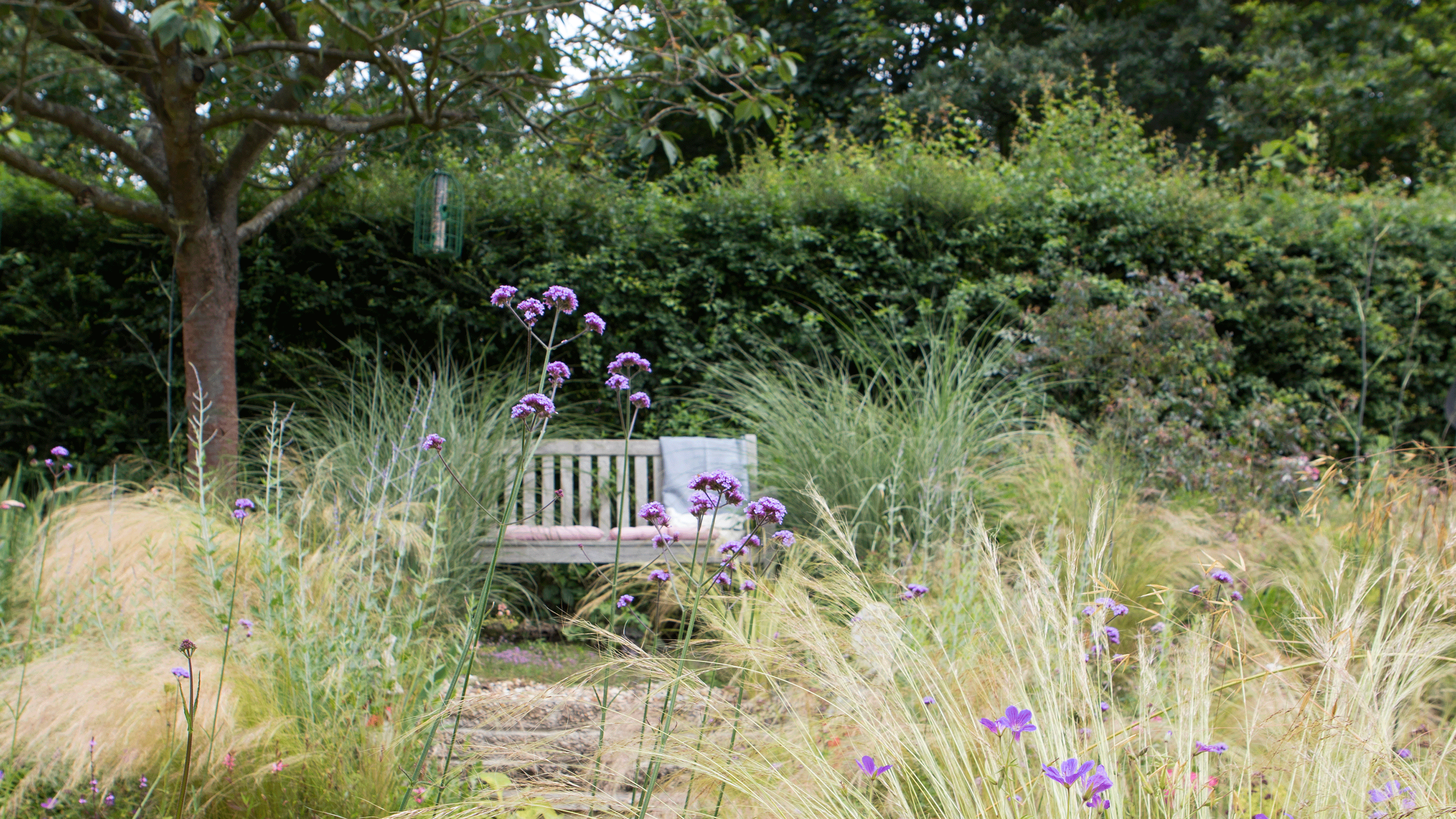 House with wild flowers