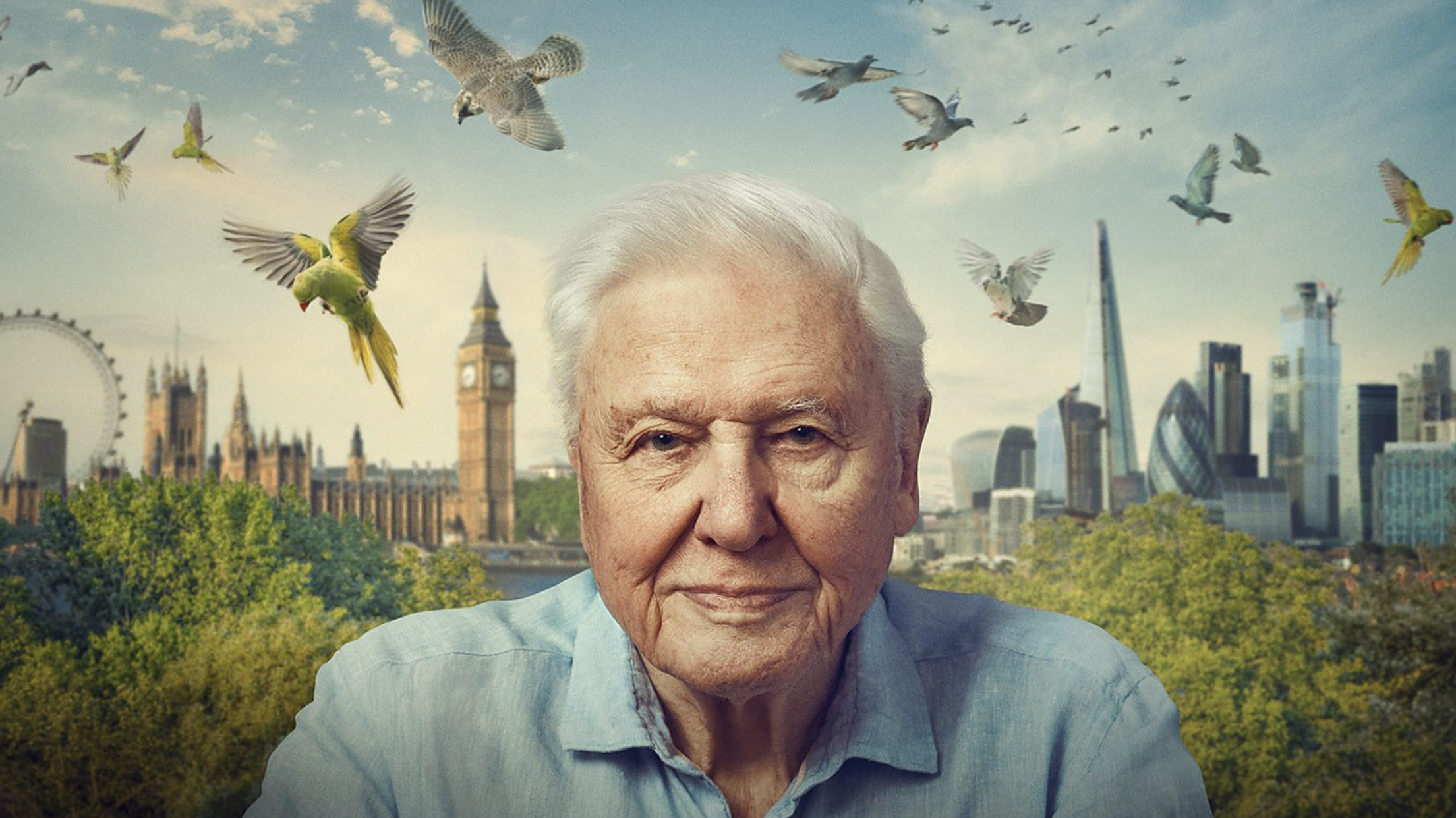 Cara nonton Wild London di BBC iPlayer (GRATIS)