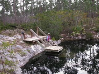 Underwater Fossil Graveyard Reveals Toll Of Human Caused