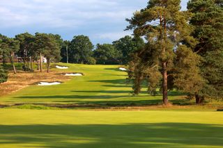 Looking up toward the 18th green at Blackmoor