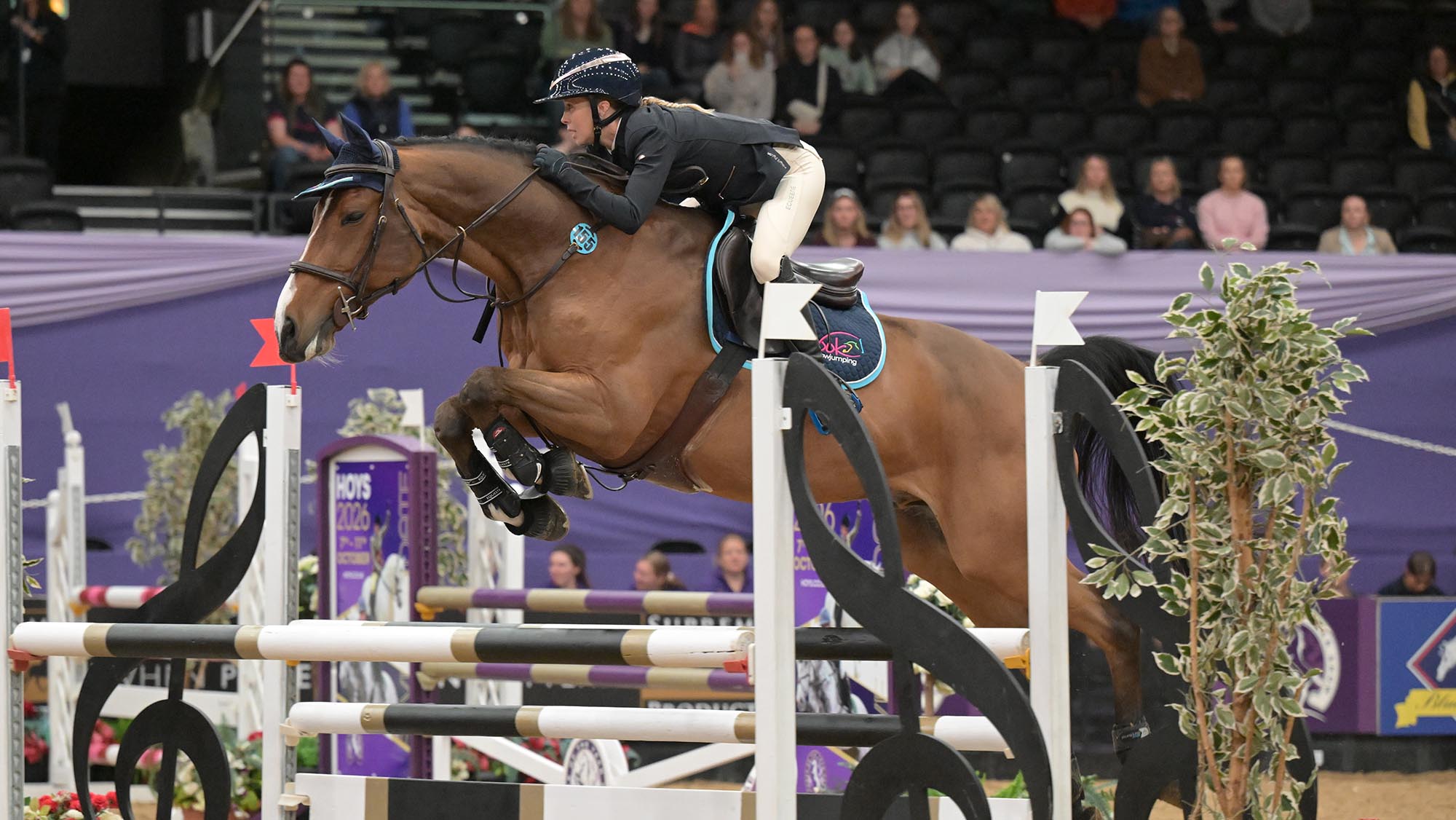 Stacey-COOK-and-Gigant_HOYS25_PN10633.jpg