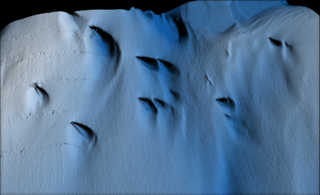 mussel shaped black shapes on the underside of anatarctic ice