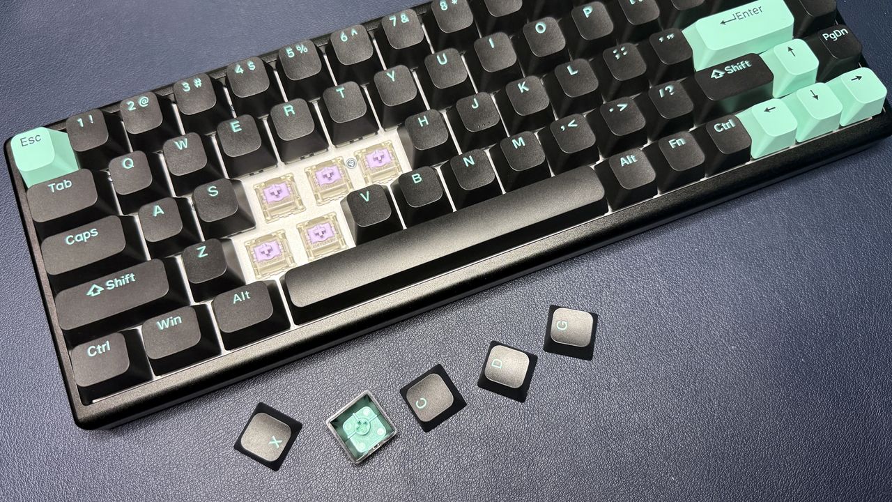Arbiter Studio Polar 65