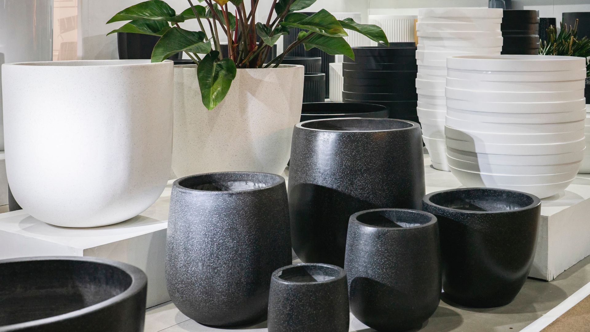 picture of black and white cermaic plant pots on display