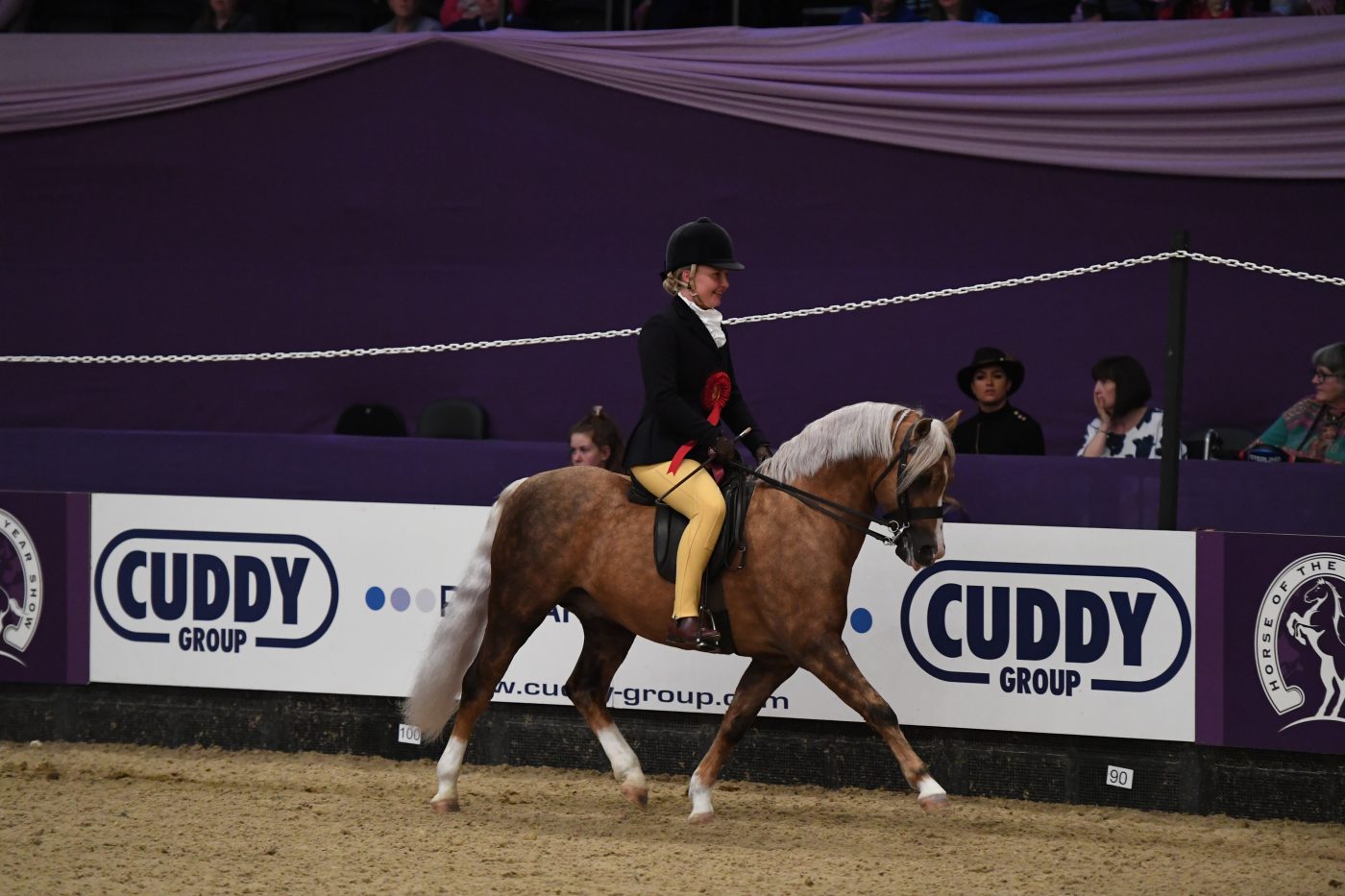 MM-Ridden-_HOYS_PN19_146739-e1570530306465.jpg