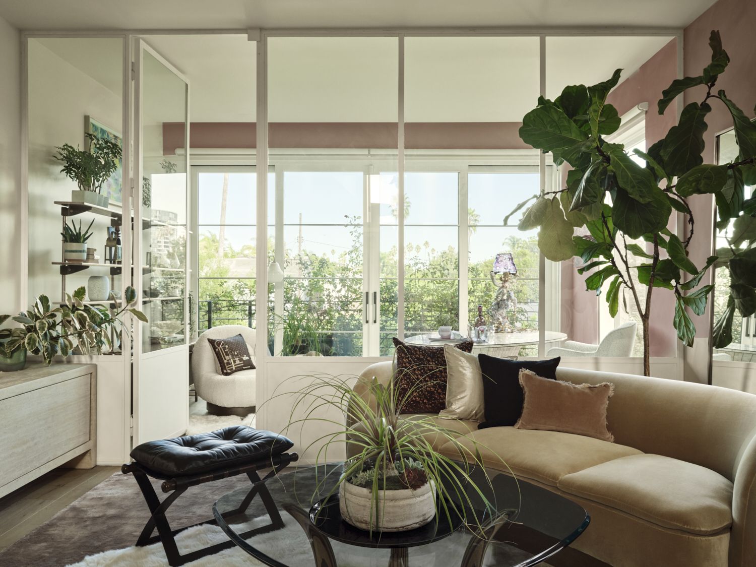 A living space with a view onto a garden, a brown curved sofa, and a large plant
