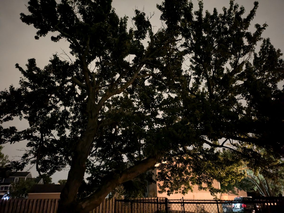 Google Pixel 8a low light sample.