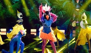 the masked dancer exotic bird dancing