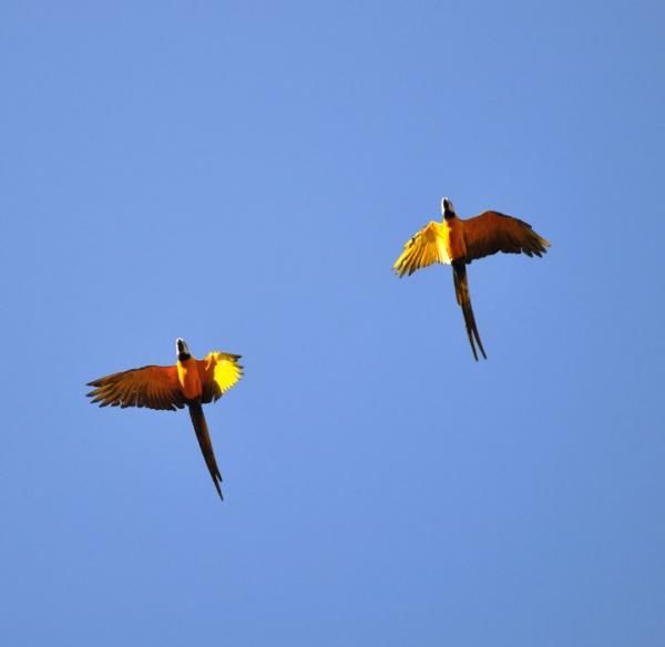 Traveling the Transamazon Highway: A Journey in Pictures | Live Science