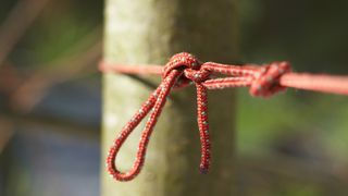The best knots for camping and hiking: for rigging shelters, repairs, hanging hammocks and more
