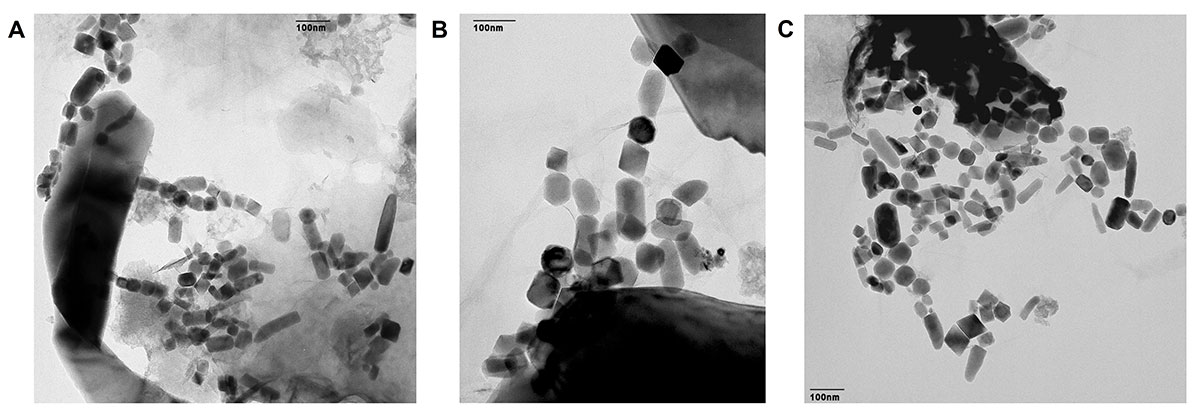 Tiny magnetofossils in sediments from the Pacific Ocean floor have been found to contain iron-60, a type of iron produced in a supernova explosion that signals the death of a star. 